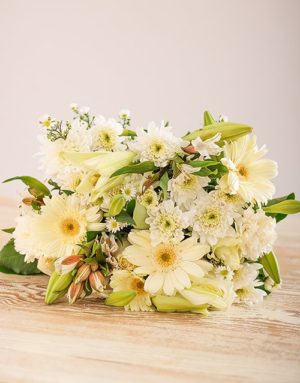 sympathy White and Whimsical Mix