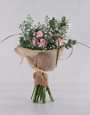 roses Pink Rose Admiration