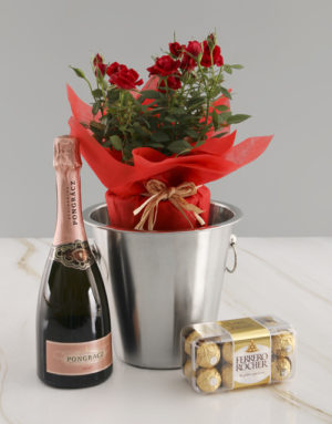 roses Rose Bush And Delicious Delights