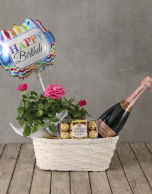 roses Pink Rose Bush Birthday Hamper