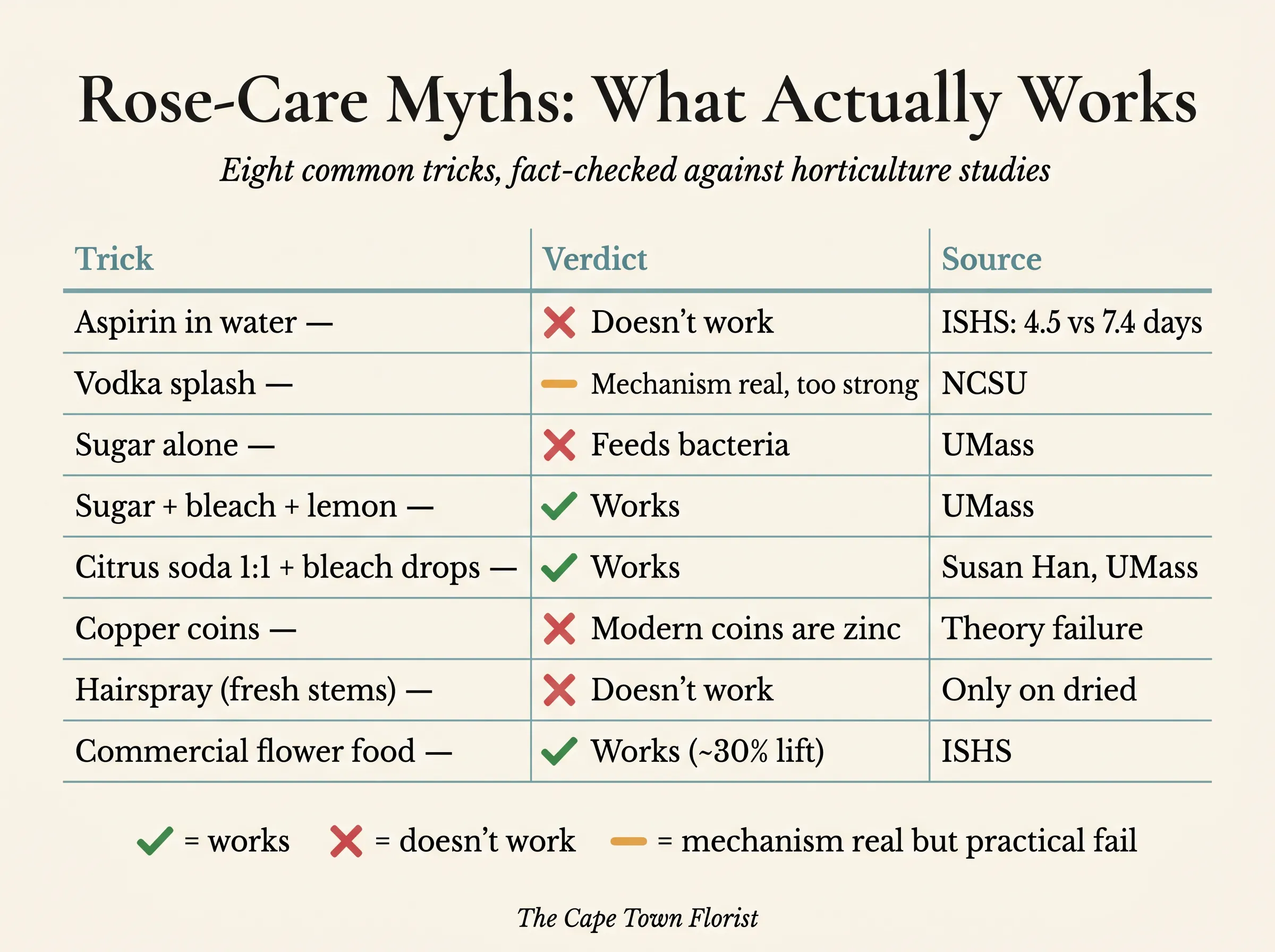 Rose vase-water myths tested — aspirin, sugar, copper coins and hairspray against the commercial flower sachet